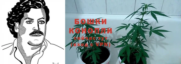 хмурый Арсеньев