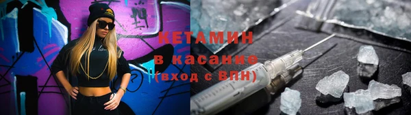 стаф Аркадак