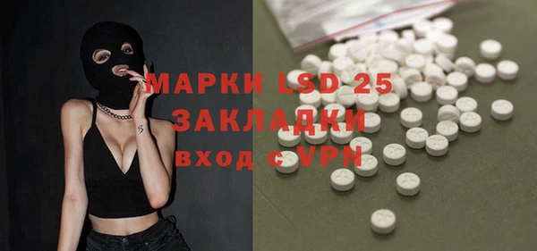 хмурый Арсеньев