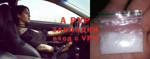 хмурый Арсеньев