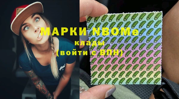 хмурый Арсеньев