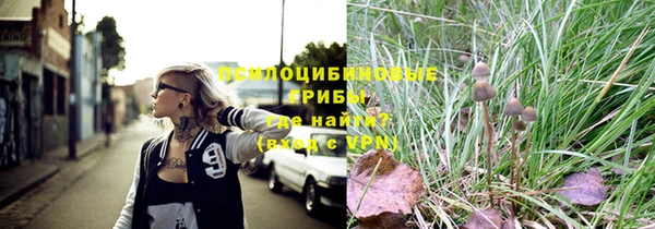 хмурый Арсеньев