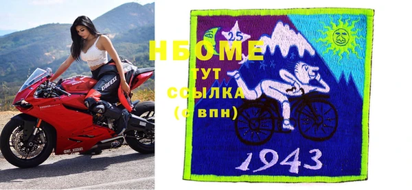 хмурый Арсеньев
