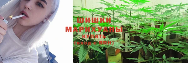 стаф Аркадак