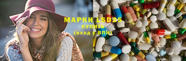 стаф Аркадак