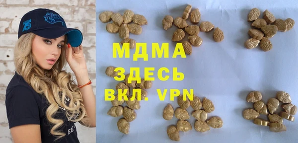 хмурый Арсеньев