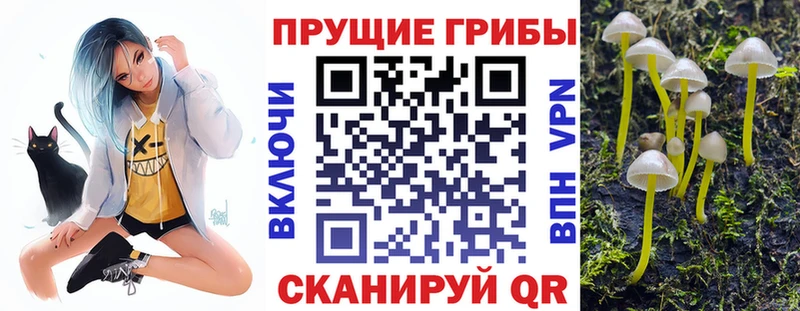 Псилоцибиновые грибы MAGIC MUSHROOMS  Исилькуль 